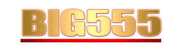 Logo BIG555
